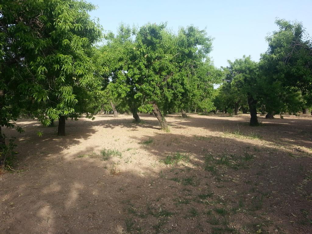 A Lumia Βίλα Νότο Εξωτερικό φωτογραφία