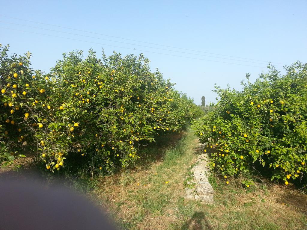 A Lumia Βίλα Νότο Εξωτερικό φωτογραφία