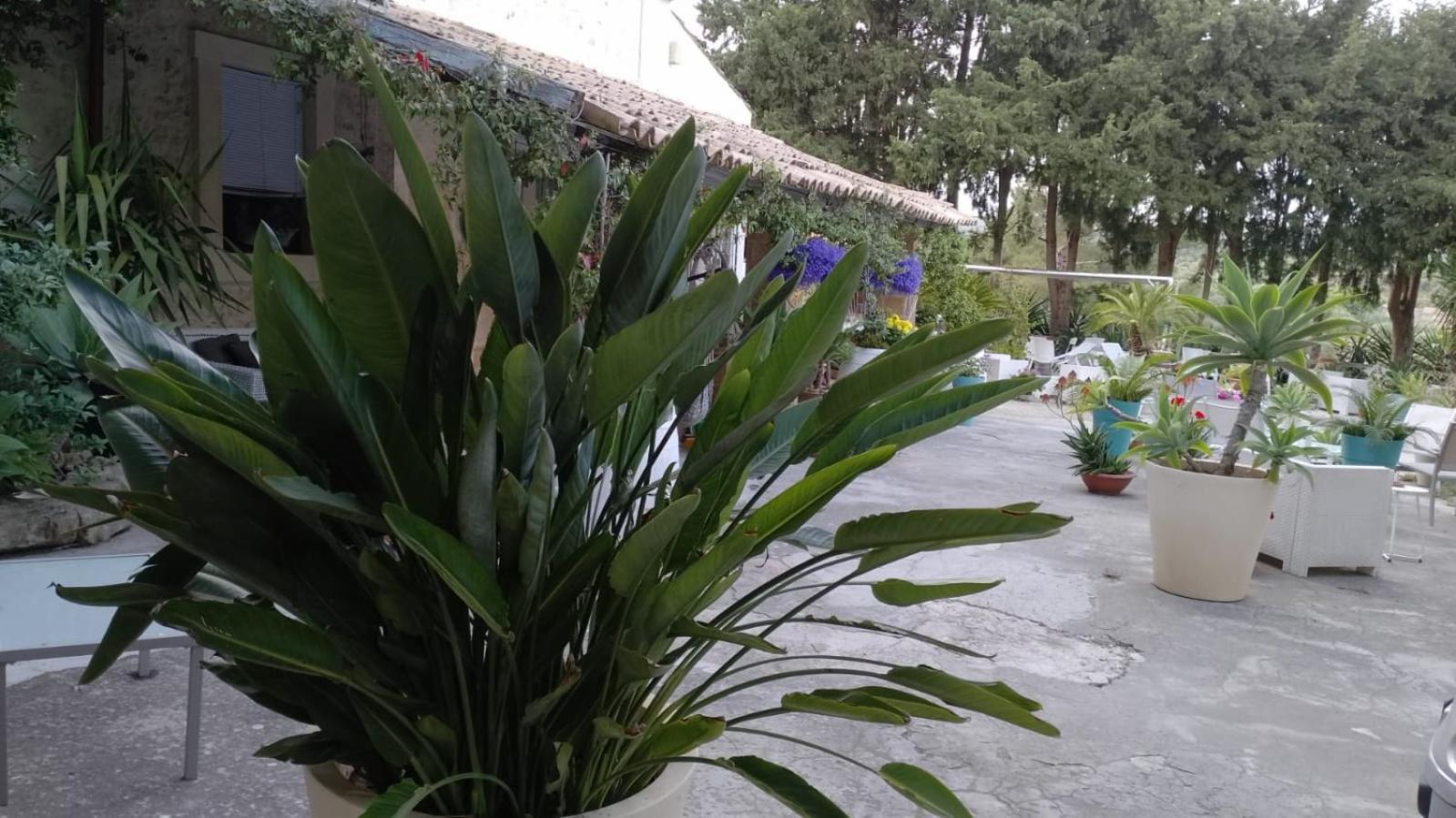 A Lumia Βίλα Νότο Εξωτερικό φωτογραφία